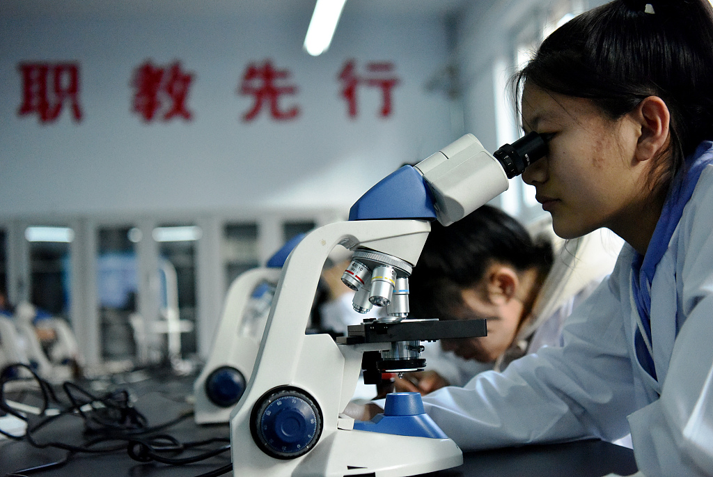 China revises law to promote vocational education employment