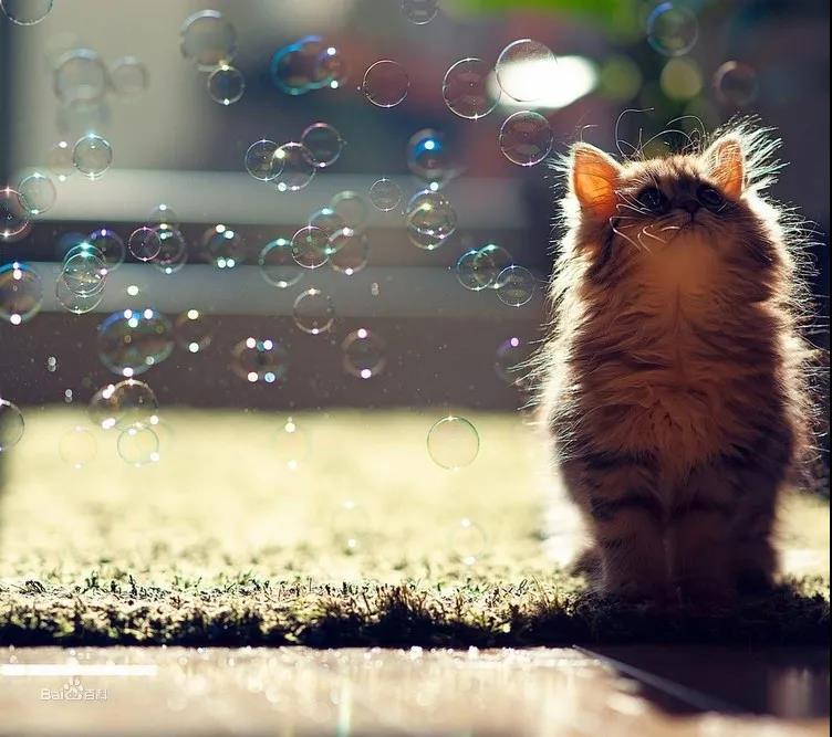 有关成长：利用非线性成长，实现人生跃迁